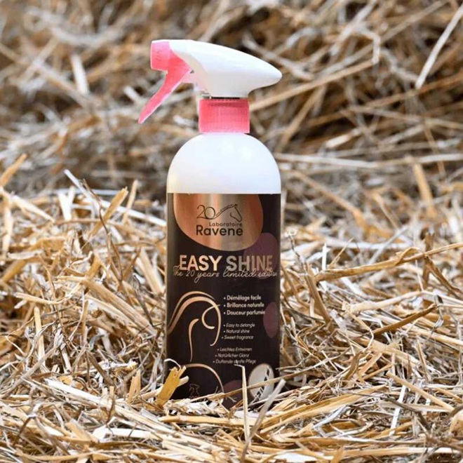 EASY SHINE RAVENE LIMITED EDITION ARANCIA E SANDALO 750 ML Shampoo e Districanti 